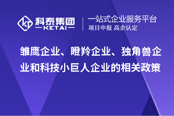 雛鷹企業(yè)、瞪羚企業(yè)、獨(dú)角獸企業(yè)和科技小巨人企業(yè)的相關(guān)政策