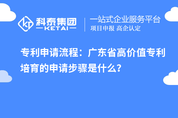 專利申請流程：廣東省高價(jià)值專利培育的申請步驟是什么？