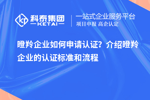 瞪羚企業(yè)如何申請認證？介紹瞪羚企業(yè)的認證標準和流程