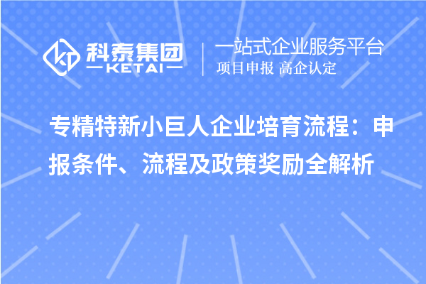 專精特新小巨人企業(yè)培育流程：申報(bào)條件、流程及政策獎(jiǎng)勵(lì)全解析