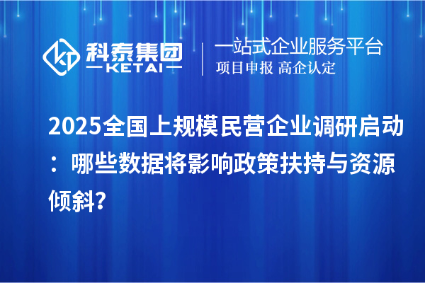 2025全國上規(guī)模民營企業(yè)調(diào)研啟動：哪些數(shù)據(jù)將影響政策扶持與資源傾斜？